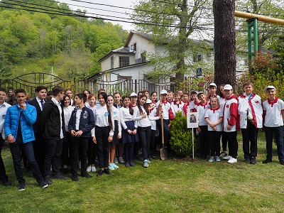 Сочинские школьники высадили деревья в честь Героев Великой Отечественной войны