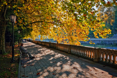 Осень под пальмами. Сочи вошел в тройку городов России, предпочитаемых для путешествий на осенние выходные