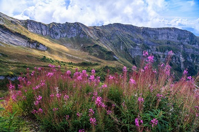Экотропы, палаточный лагерь и конные прогулки ждут этим летом туристов в горах Сочи 
