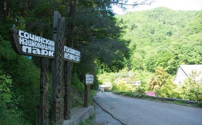 В Сочинском национальном парке сносят целый незаконный посёлок 