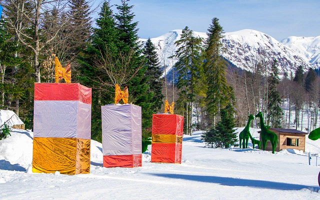В горах Сочи пройдёт фестиваль резьбы по снегу