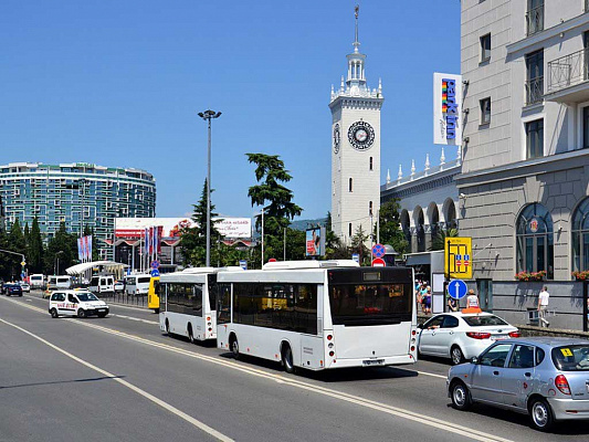 В Сочи меняется подвижной состав общественного транспорта
