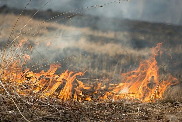 В Сочи объявлен режим высокой пожароопасности