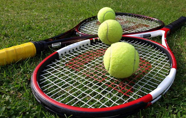 Открытый чемпионат Южного федерального округа по теннису