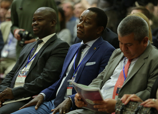 Свыше 10 тысяч человек примут участие в саммите Россия - Африка в Сочи