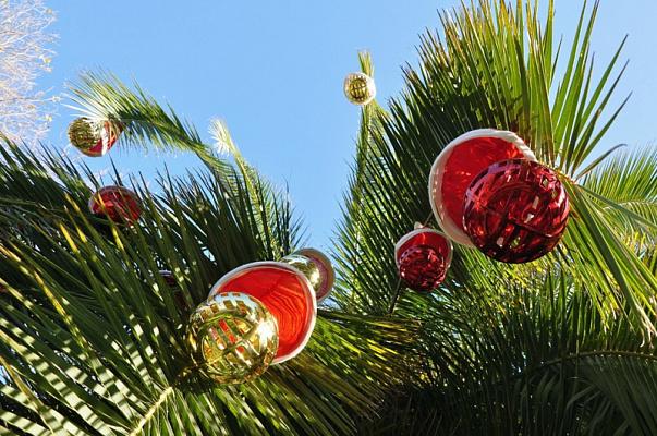 Сочи стал самым популярным местом отдыха на новогодние каникулы