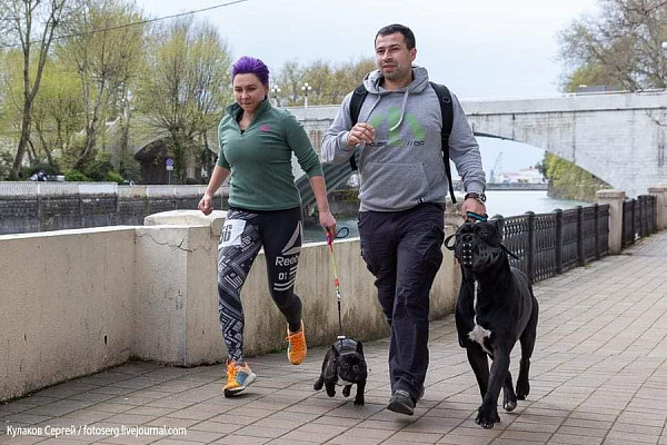 Свыше 50-ти любителей спорта и собак пробежали благотворительный забег в Сочи